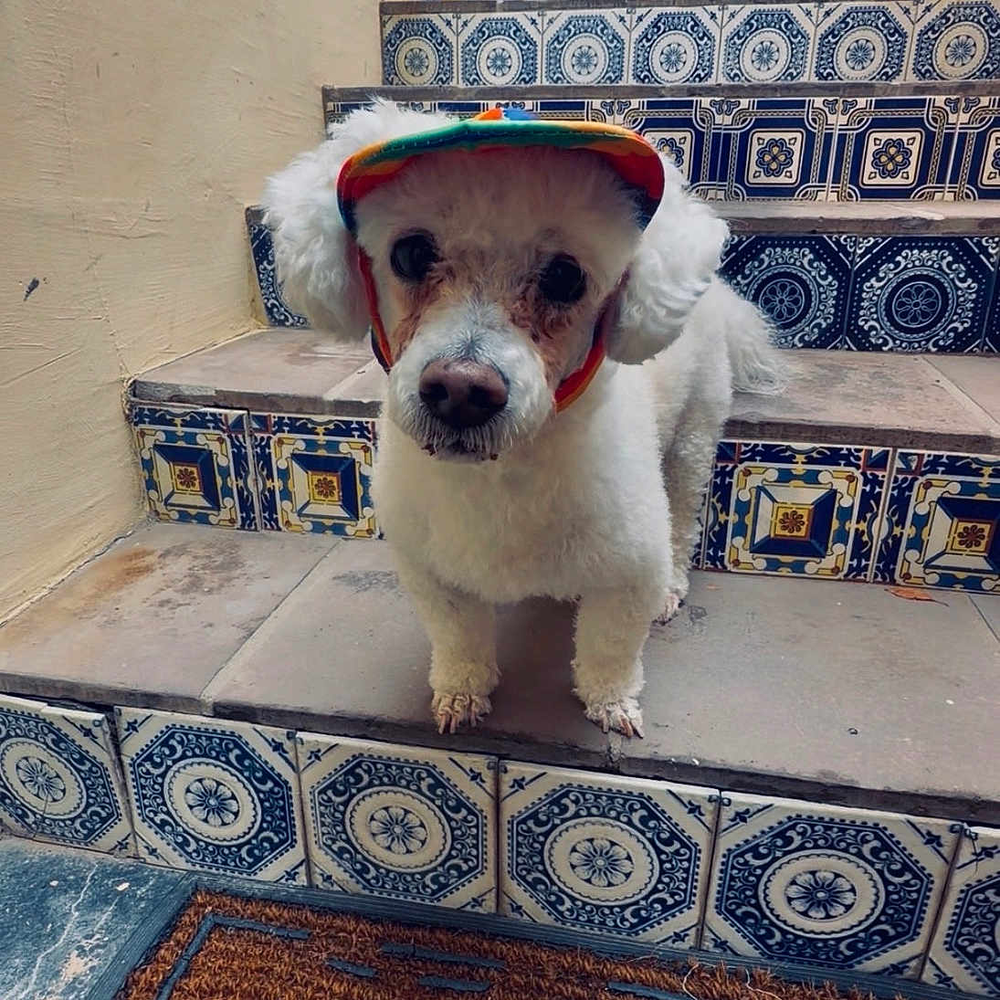 Benny