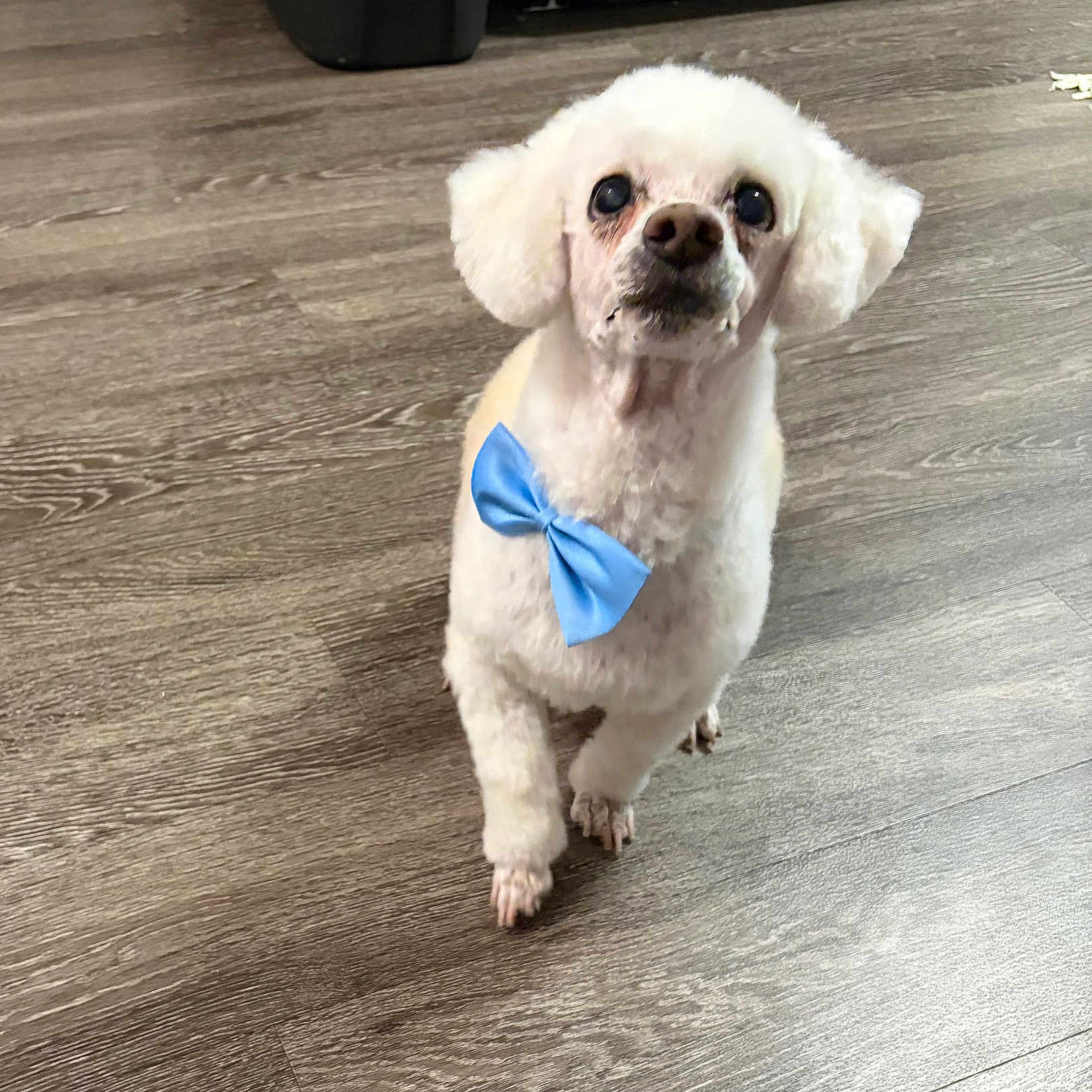 Benny