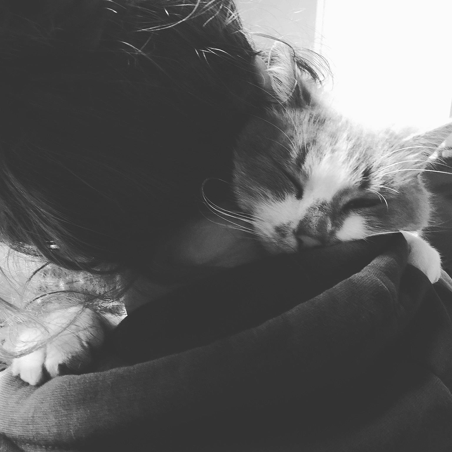 Fanta a rejoint le concours — aidez-le/la à gagner de superbes lots ! black, black_and_white, carnivore, cat, ear, eye, felidae, fur, kitten, leg, monochrome, monochrome_photography, nose, photography, sky, small_to_medium_sized_cats, snapshot, snout, whiskers, white