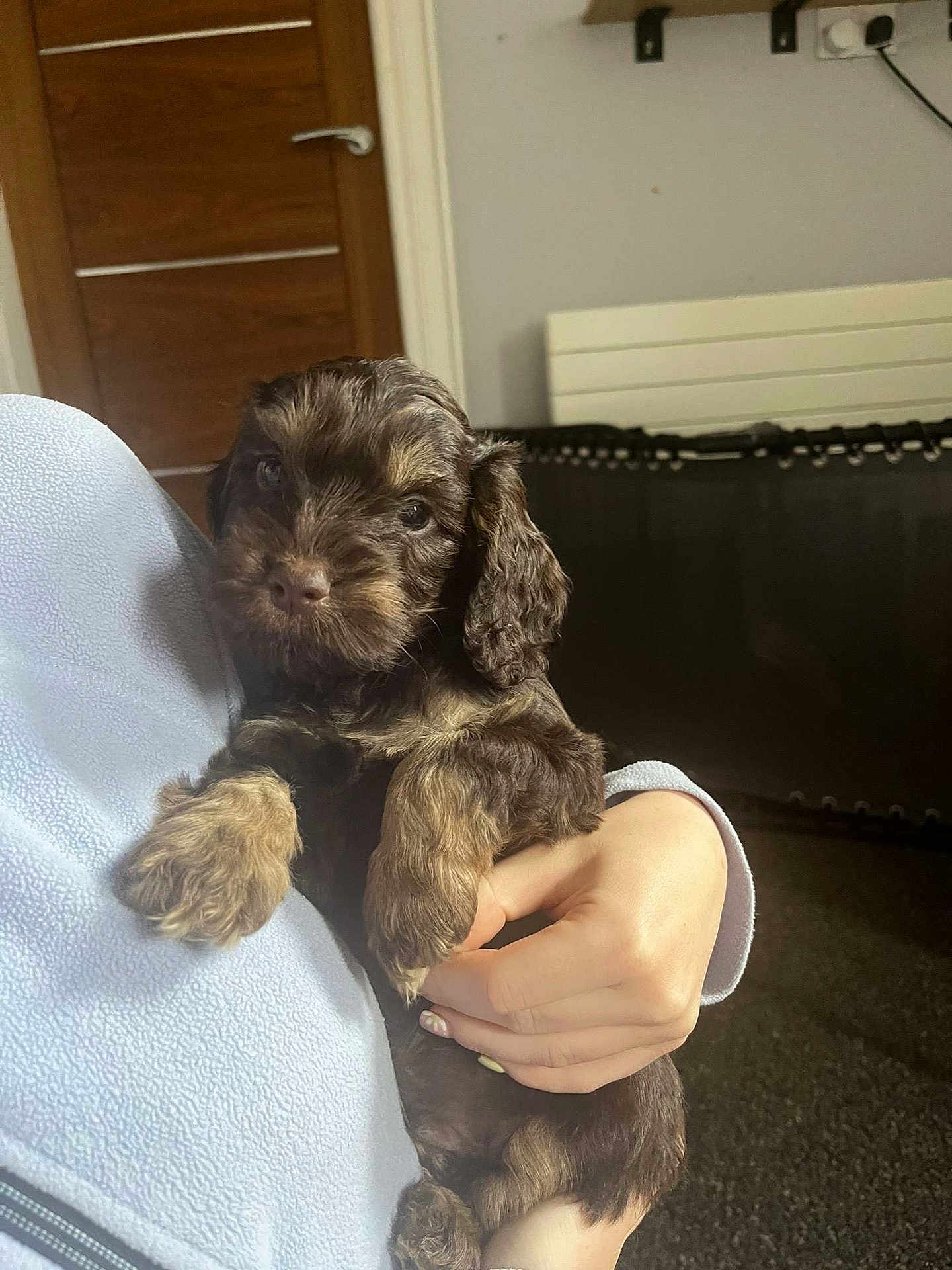 Oakley