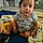 Hector
