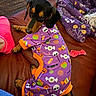 dog, dachshund, black_and_tan, pet, costume, halloween, purple_clothing, leather_couch, indoor, living_room, lounging, sitting, lying_down, floppy_ears, brown_eyes, dog_clothing, chew_toy, blanket, other_pets, cozy