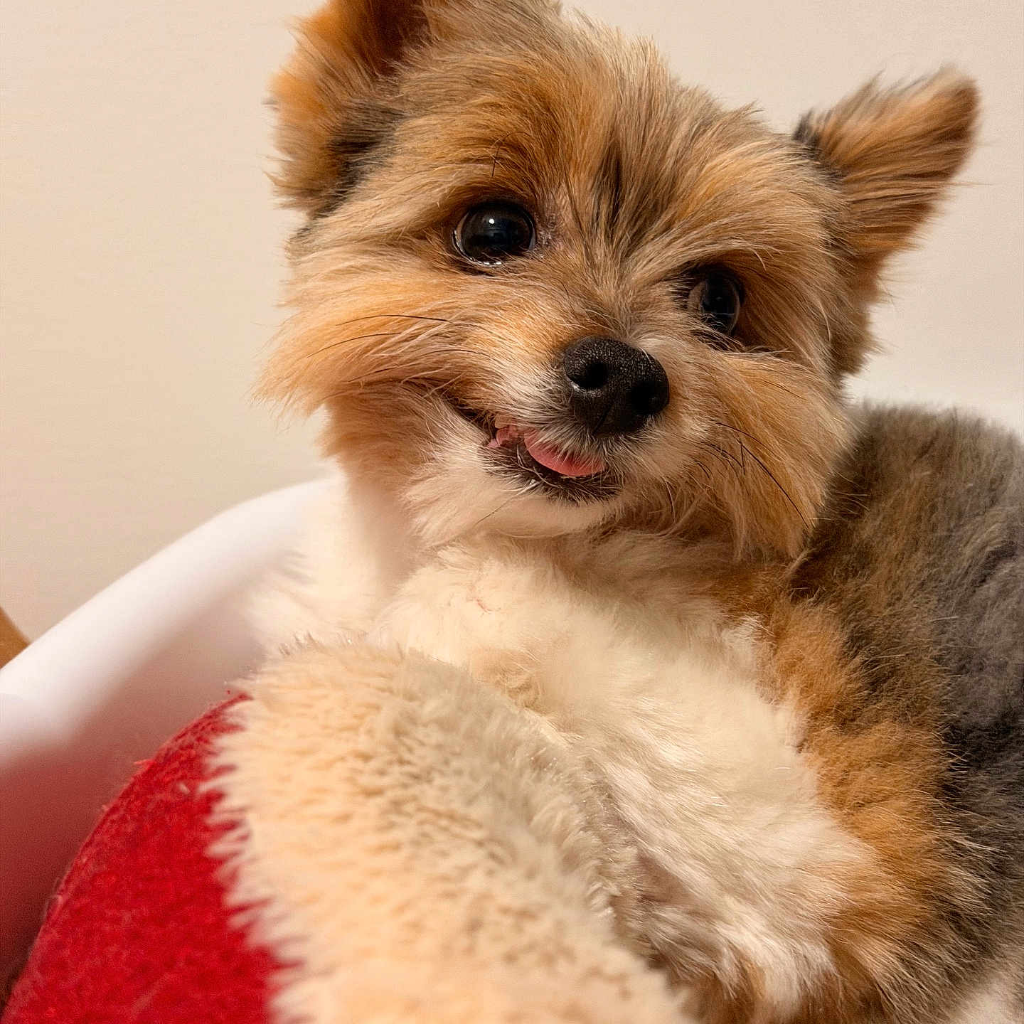 Milo