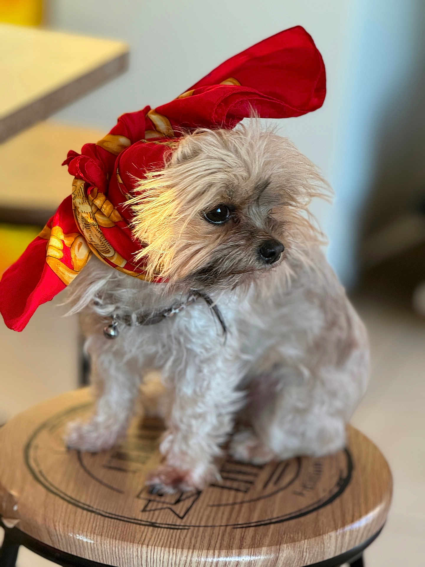 Lola
