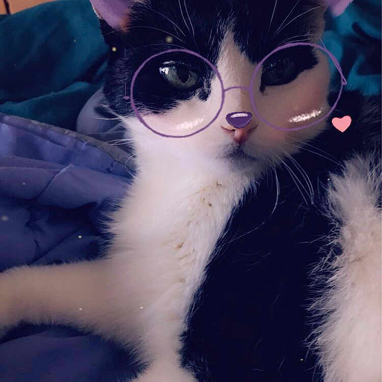 Félix
