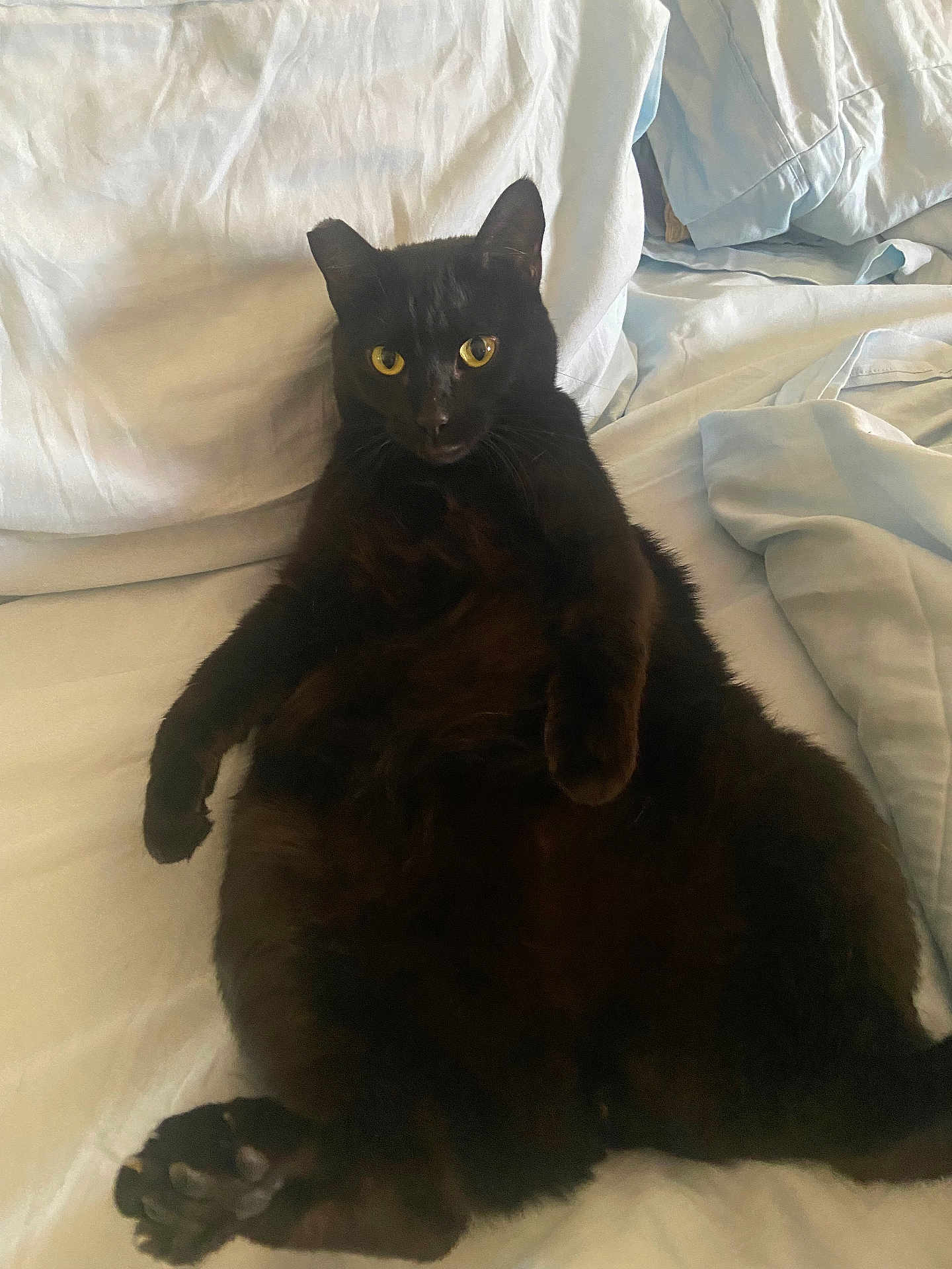 Lucy