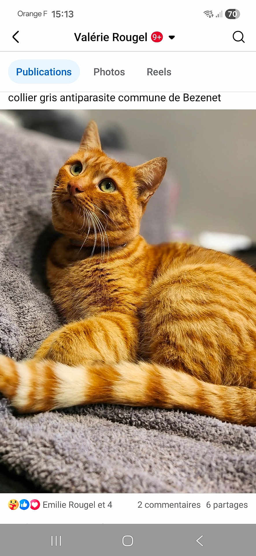 Bilou a rejoint le concours — aidez-le/la à gagner de superbes lots ! cat, orange_tabby, pet, animal, feline, whiskers, green_eyes, striped_tail, fur, cozy, blanket, indoor, relaxed, cute, domestic_cat, mammal, portrait, laying_down, curious, soft_texture