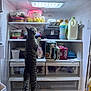 cat, tabby, fridge, refrigerator, food, milk, container, shelf, curious, indoor, pet, animal, snack, light, kitchen, dairy, plastic_container, egg_carton, beverage, standing