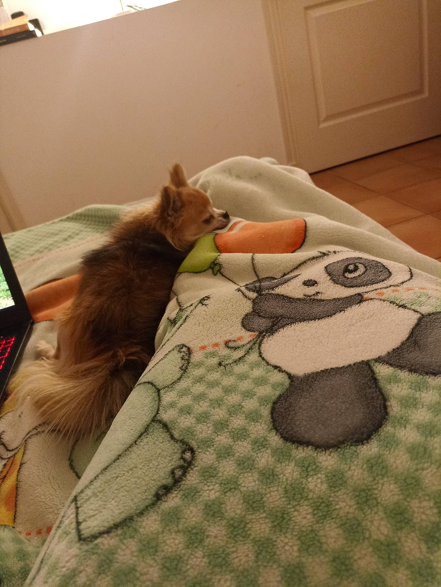 Bobby participe au concours pour gagner de l'argent avec cette photo : art, bed, bedding, carnivore, cat, comfort, domestic_short_haired_cat, fawn, felidae, flooring, fur, grey, linens, room, small_to_medium_sized_cats, stuffed_toy, tail, toy, whiskers, wood