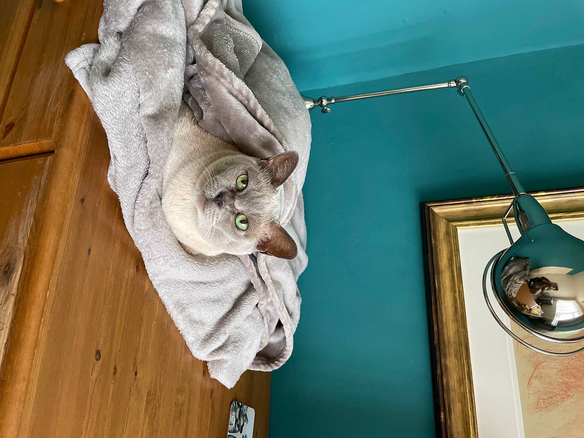 Gandalf joined the competition — help win amazing prizes! art, building, carving, ceiling, chandelier, glass, hardwood, house, light_fixture, molding, natural_material, picture_frame, room, sculpture, shelf, statue, twig, visual_arts, window, wood