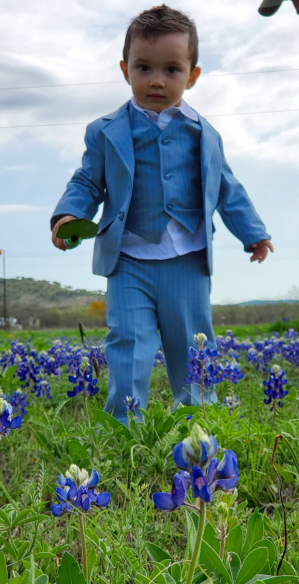 Kyllian is registered to the contest to win money with this photo: blue, bluebonnet, child, delphinium, english_lavender, flower, flowering_plant, lavender, lupin, meadow, person, plant, spring, texas_bluebonnet, toddler, wildflower
