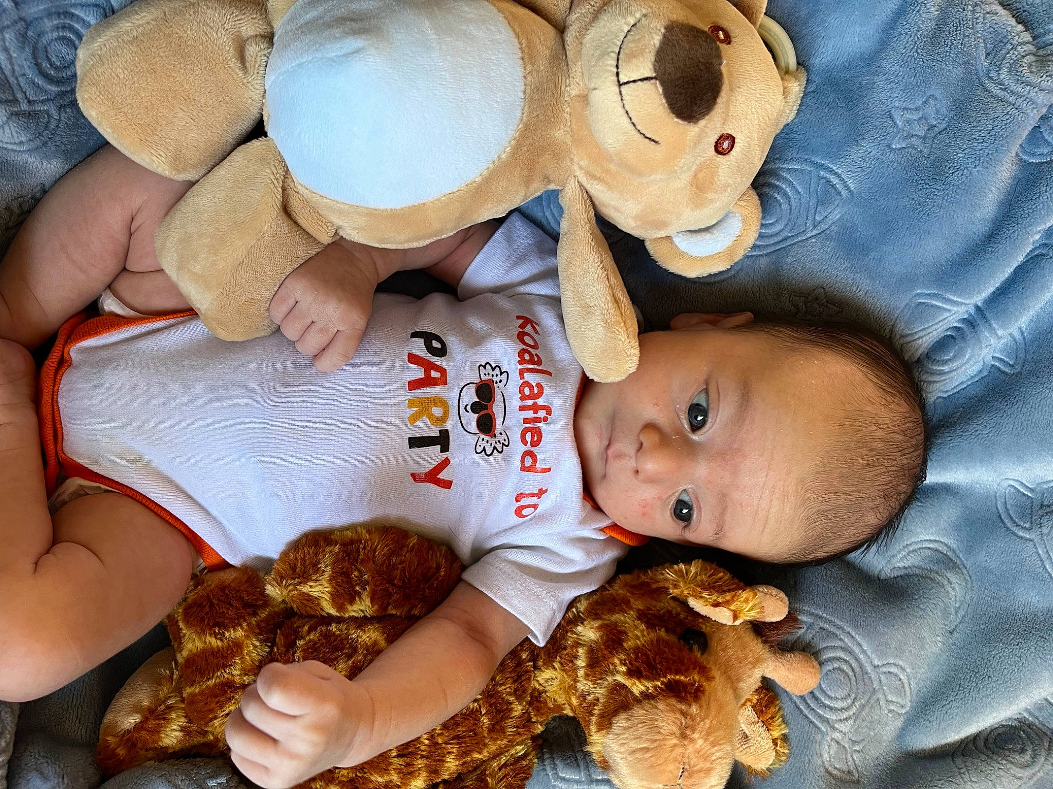 Vincent is registered to the contest to win money with this photo: baby, baby_toddler_clothing, child, happy, hat, nail, person, plush, stuffed_toy, textile, toddler, toy, tree, wood