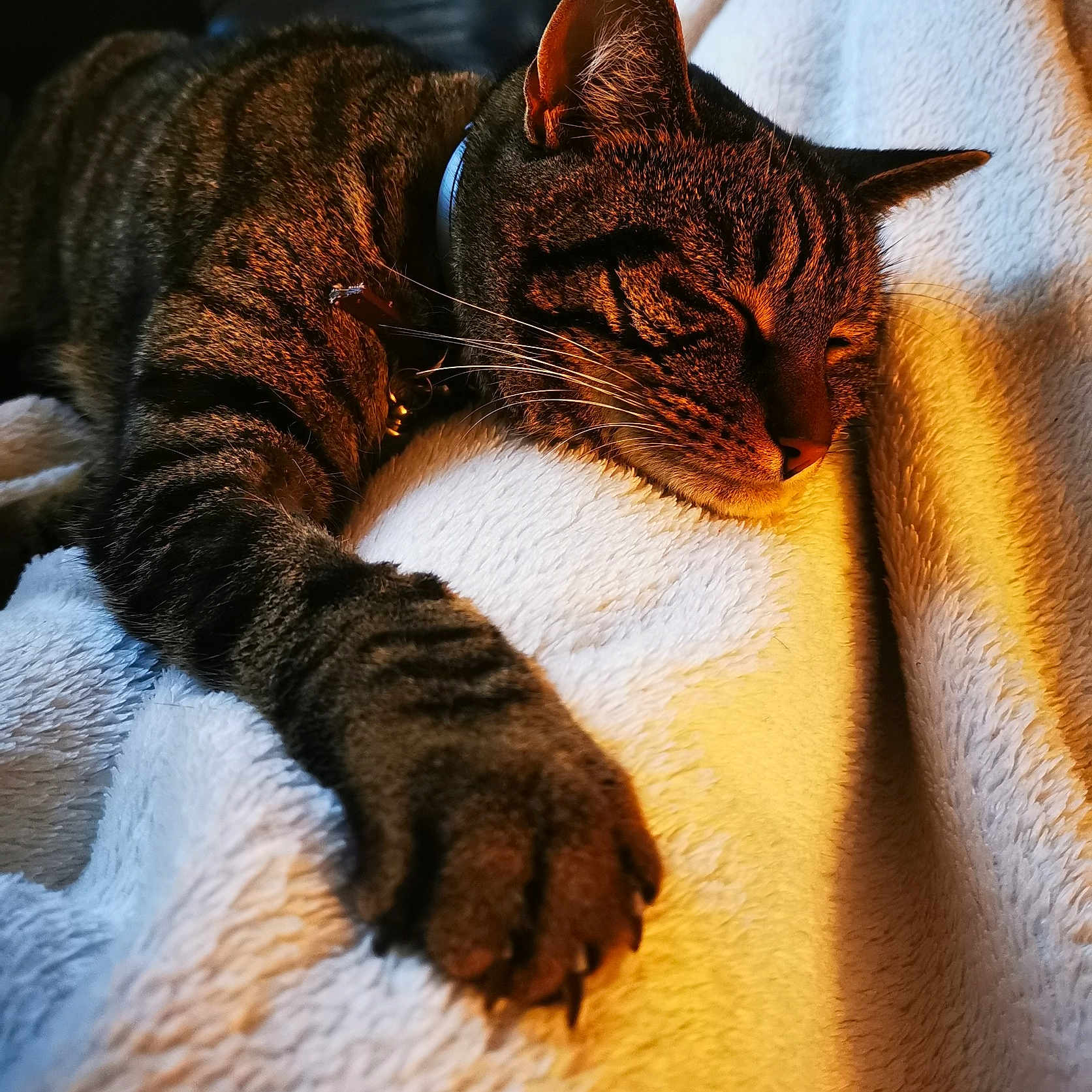Ryu