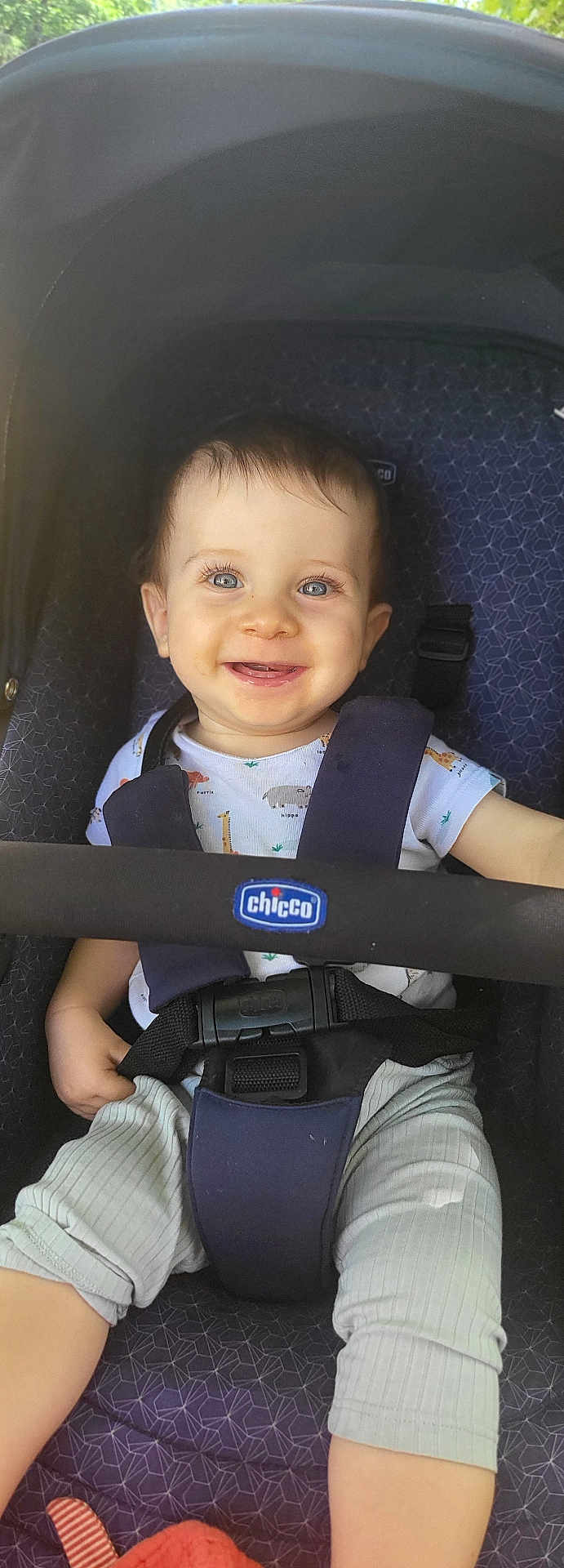 Léandro participe au concours pour gagner de l'argent avec cette photo : baby, child, smiling, stroller, safety_harness, blue_eyes, short_hair, infant_clothing, outdoor, sunlight, cute, happy, seat, straps, chicco_brand, portrait, baby_girl, baby_boy, infant, young_child