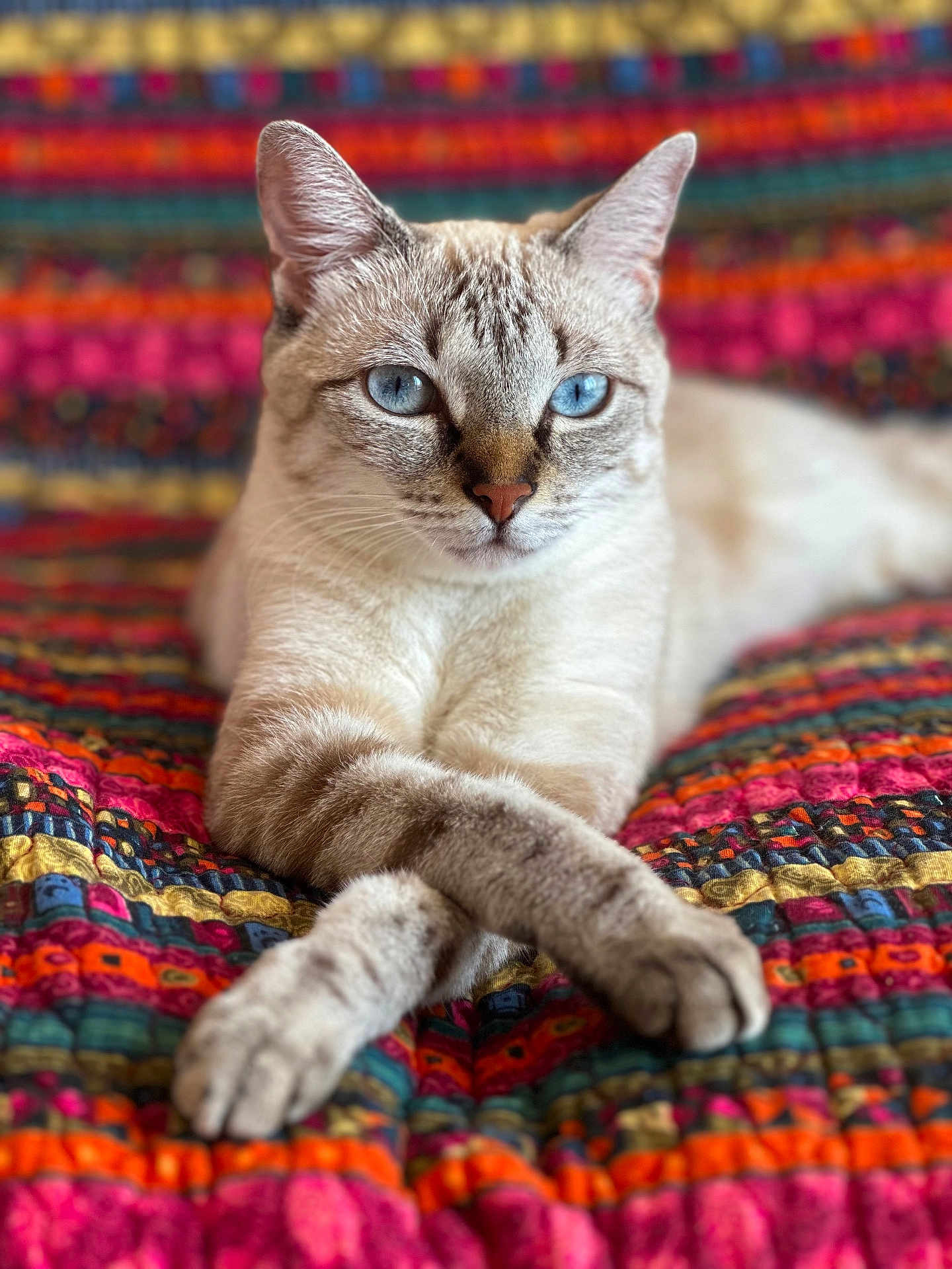 Simone