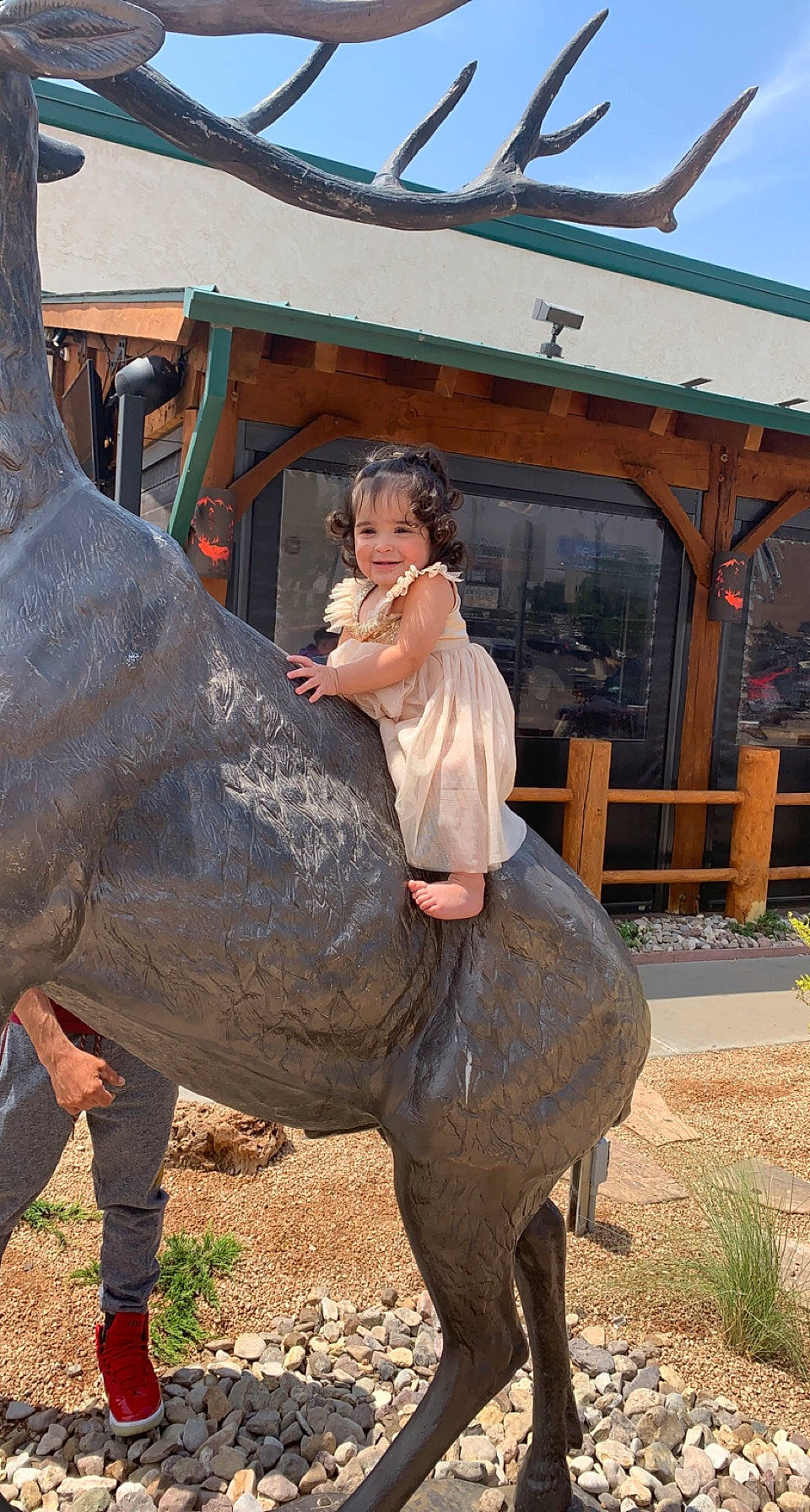 Kataleya joined the competition — help win amazing prizes! art, event, fun, grass, horn, joy, landscape, leisure, metal, mouth, natural_material, person, plant, recreation, sculpture, sky, statue, temple, terrestrial_animal, tourism