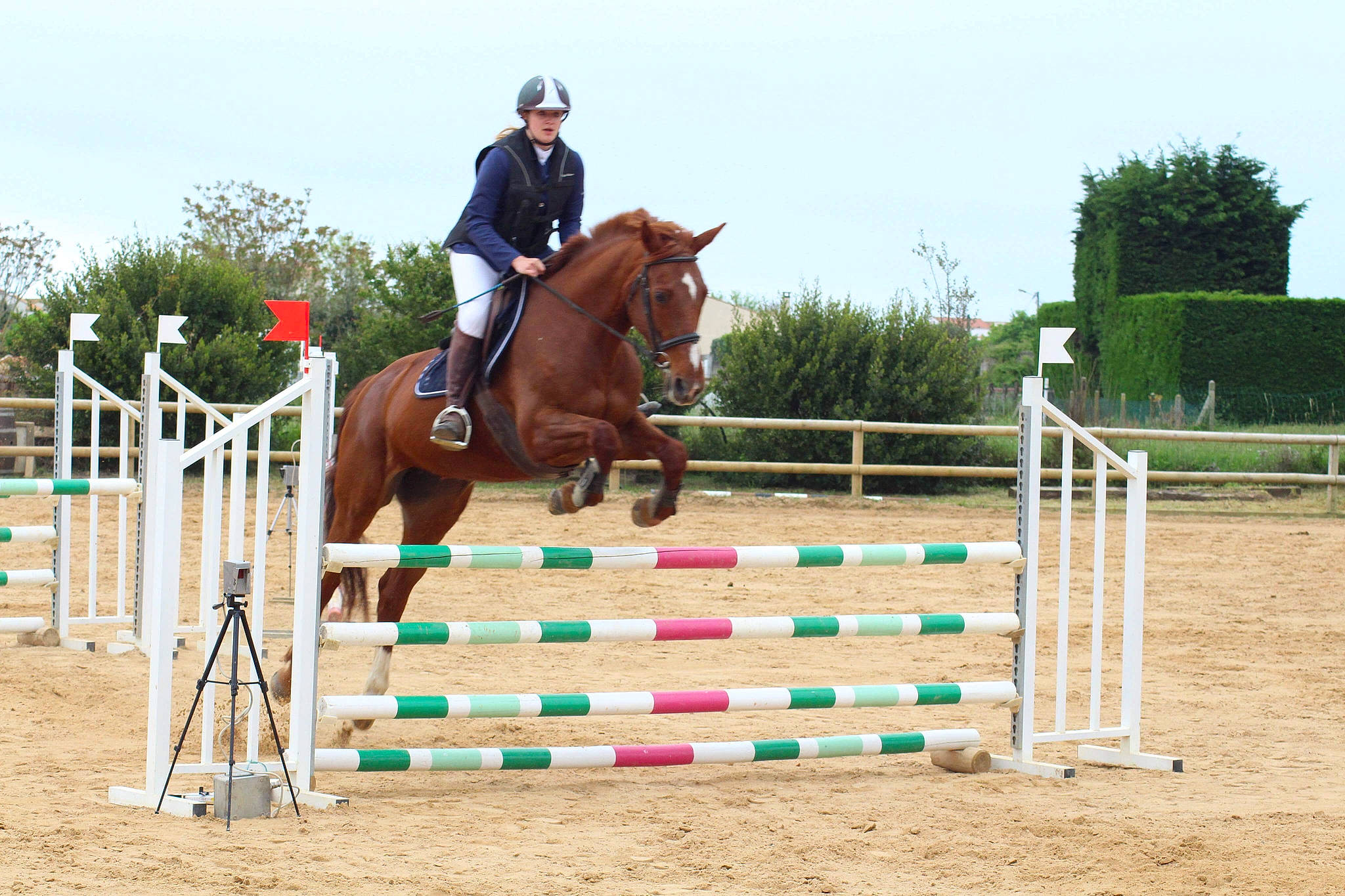 Quelly a rejoint le concours — aidez-le/la à gagner de superbes lots ! animal_sports, bridle, english_riding, equestrian, equestrian_sport, equestrianism, equitation, eventing, headwear, horse, horse_tack, hunt_seat, jumping, mare, outdoor_recreation, person, recreation, rein, show_jumping, sports