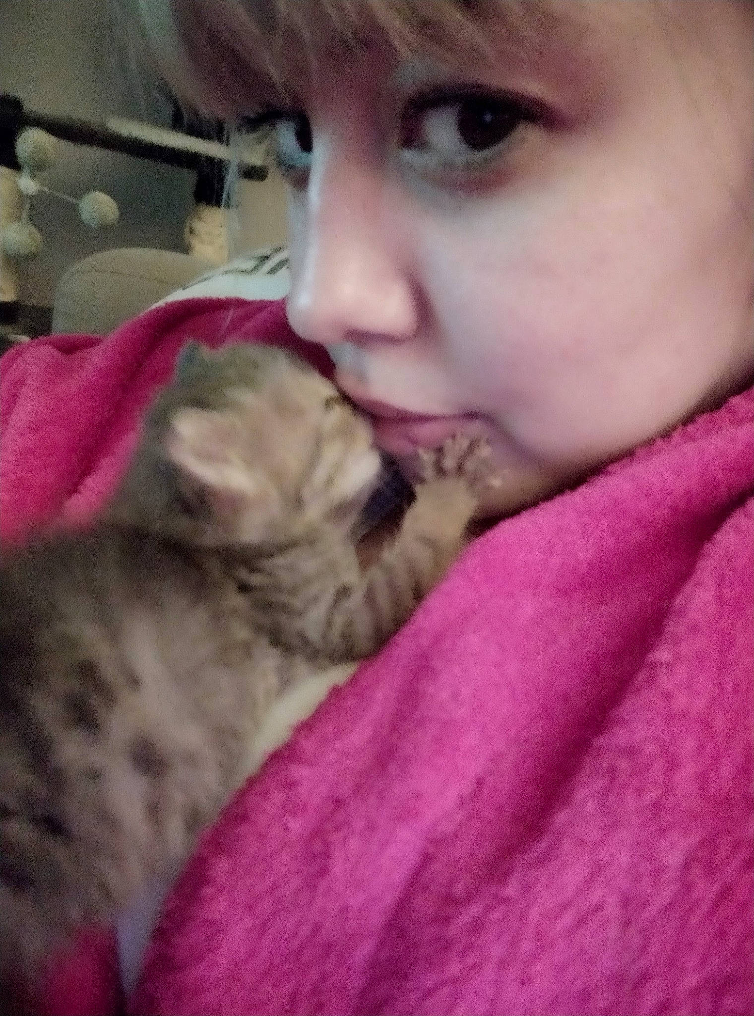 Lya participe au concours pour gagner de l'argent avec cette photo : carnivore, cat, comfort, companion_dog, dog_breed, ear, eye, eyelash, fawn, felidae, gesture, happy, jaw, mammal, nose, pink, skin, small_to_medium_sized_cats, vertebrate, whiskers