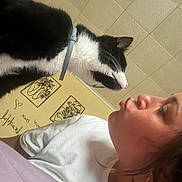 Ace is registered to the contest to win money with this photo: cat, person, indoor, collar, black_and_white_cat, wall_art, puckering, face, profile, close_up, whiskers, tiled_ceiling, white_shirt, brown_hair, earring, tattoo, light, cozy, playful, interaction