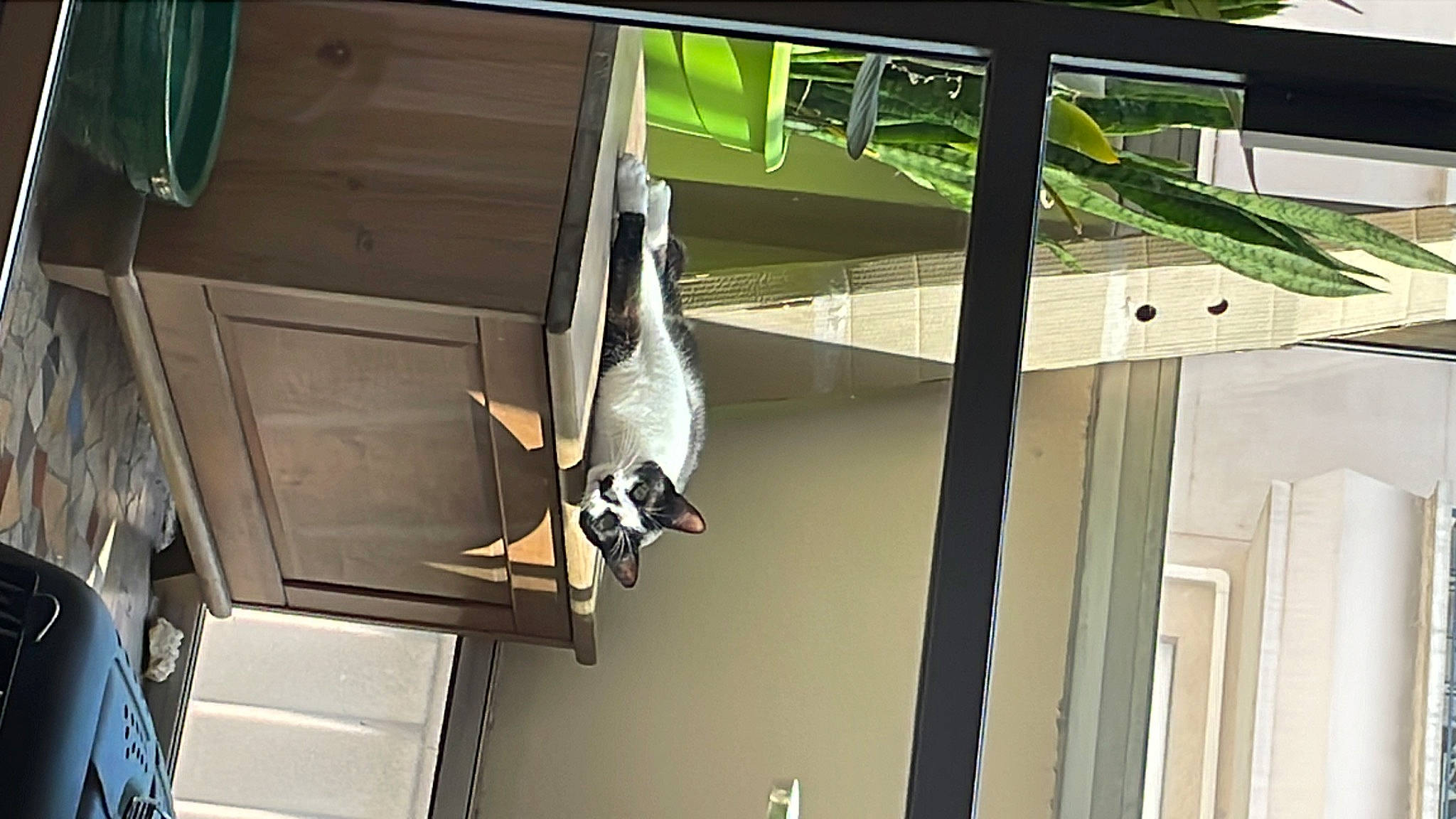 Ollie participe au concours pour gagner de l'argent avec cette photo : building, ceiling, composite_material, daylighting, door, electrical_wiring, engineering, fixture, flooring, glass, handrail, hardwood, house, machine, metal, room, sash_window, tail, window, wood