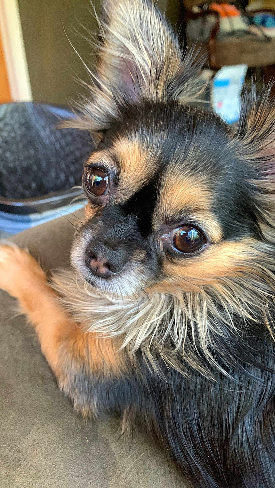 Bailey