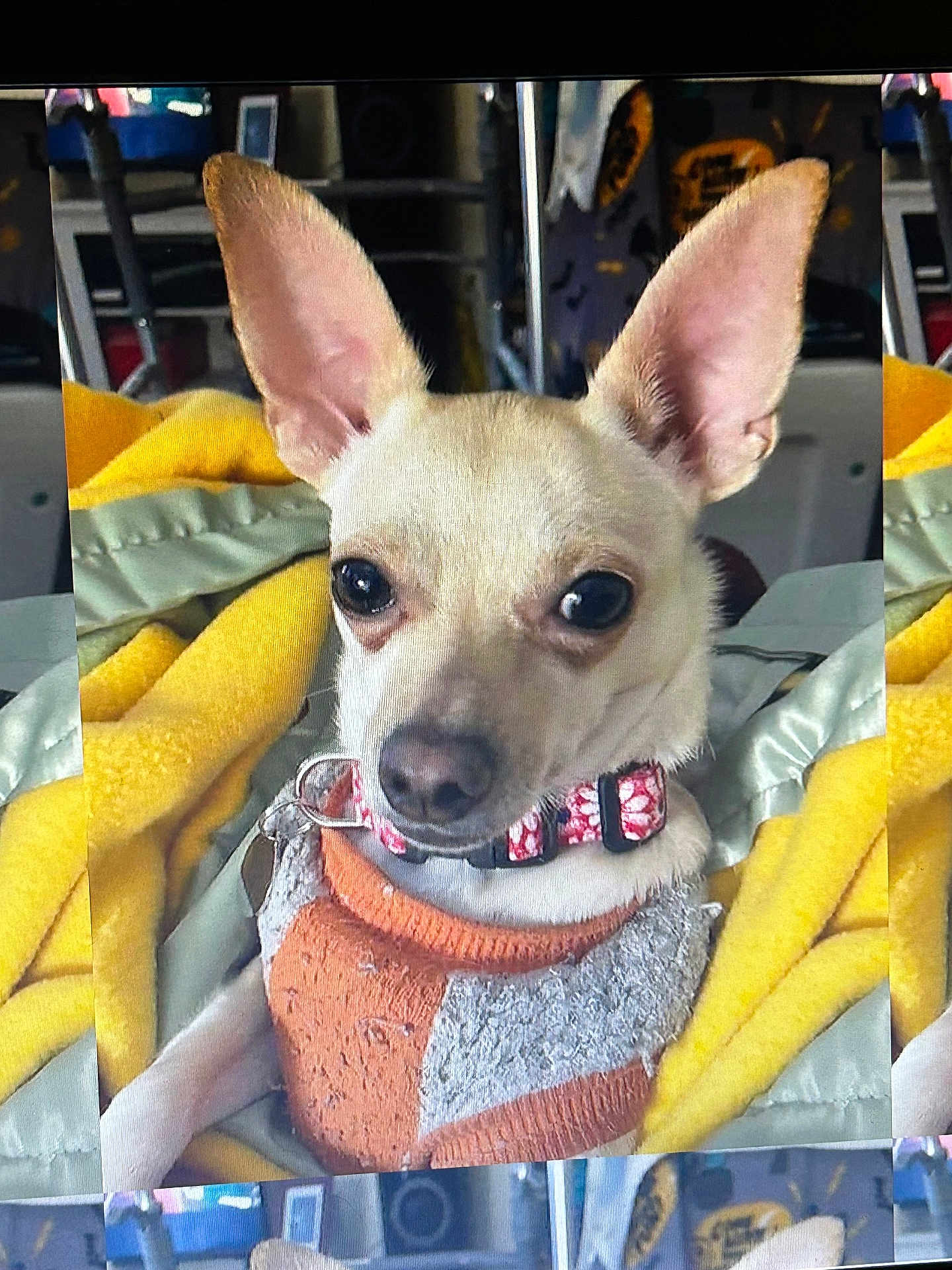 Precious
