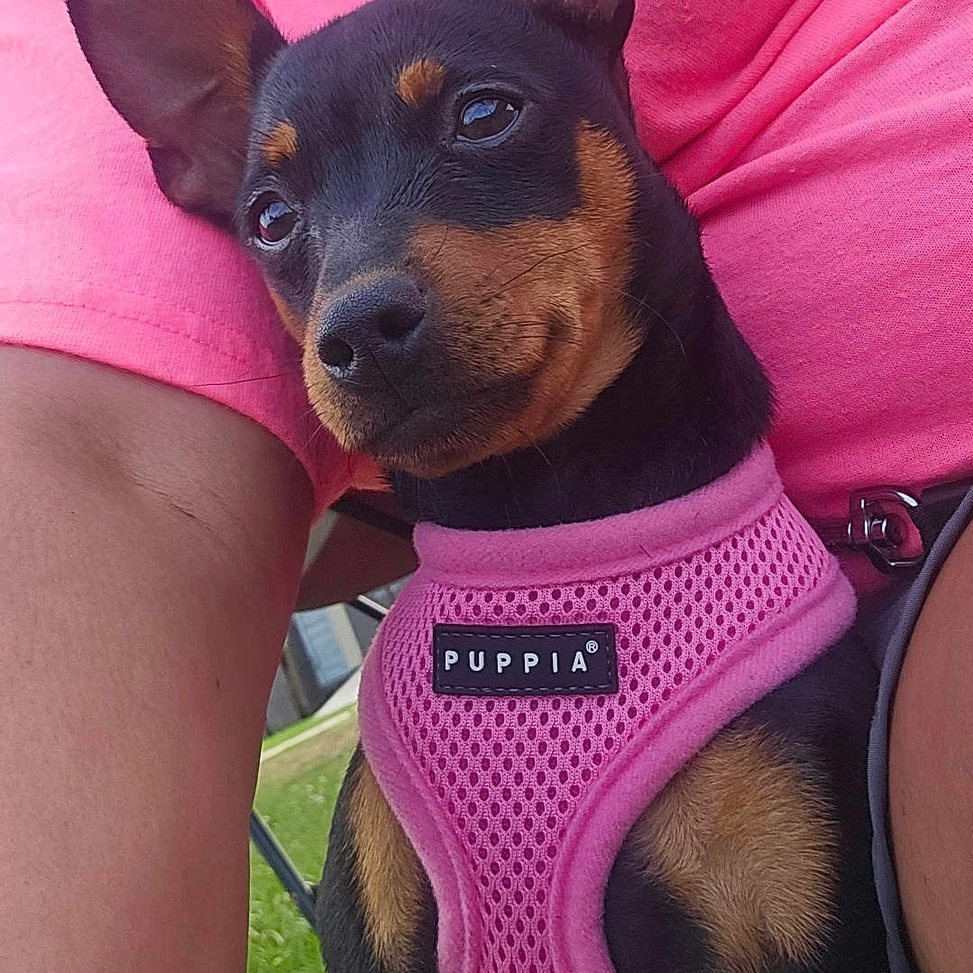 Ms. Peanut