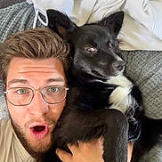 Tempête a rejoint le concours — aidez-le/la à gagner de superbes lots ! man, dog, glasses, black_dog, white_markings, couch, blanket, hoodie, facial_expression, close_up, indoor, pet, person, casual_clothing, beard, hand, fur, portrait, cozy, relaxed