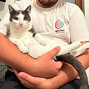 Uka participe au concours pour gagner de l'argent avec cette photo : cat, man, holding, white_tshirt, smiling, indoor, pet, relaxed, face, arms, fur, animal, comfort, casual, person, home, friendly, cute, happy, domestic