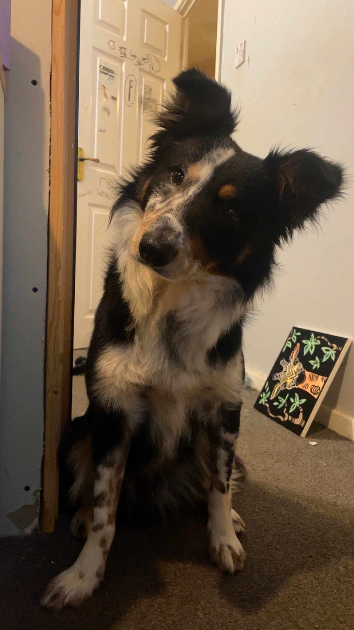 Hugo