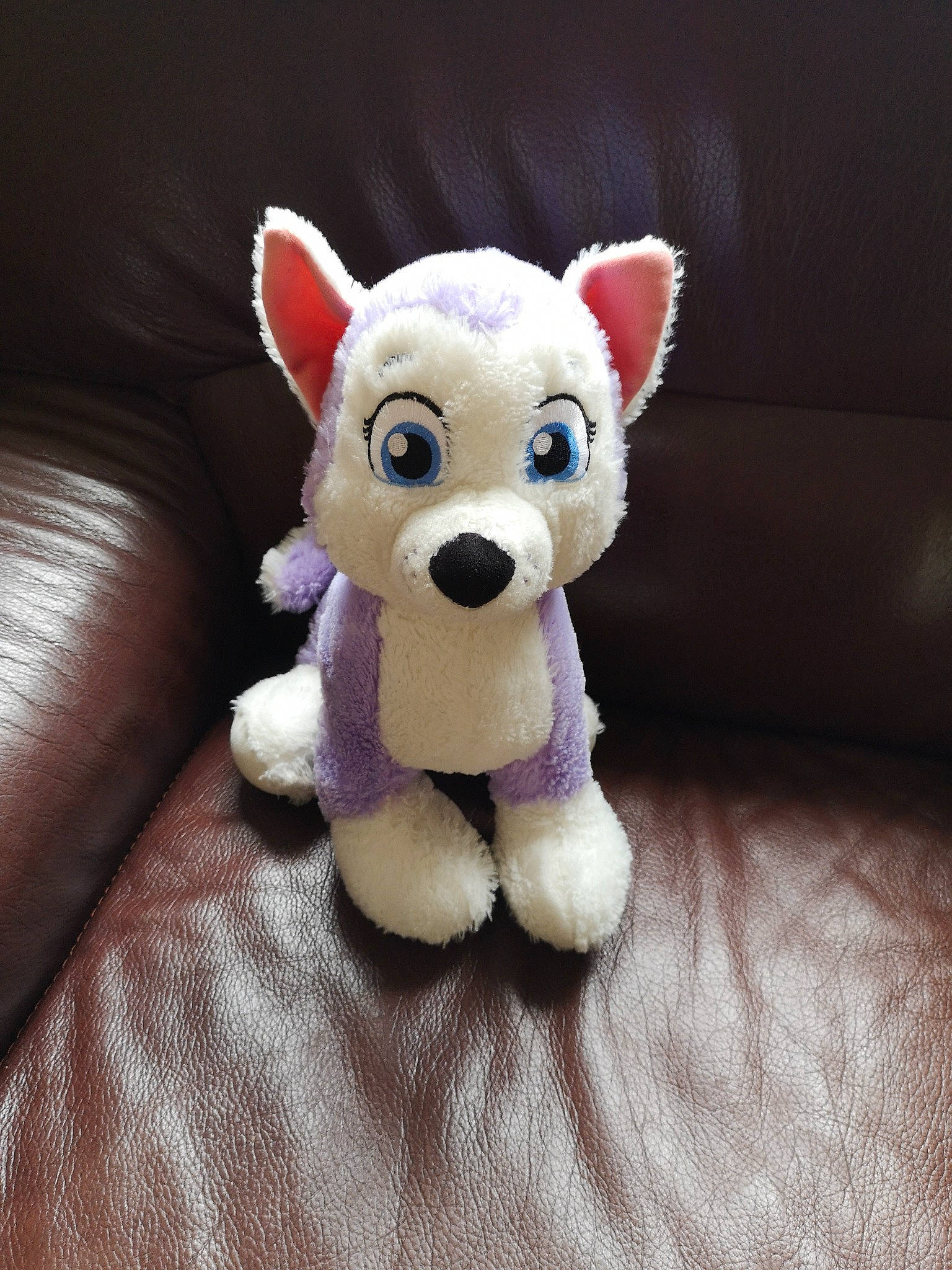 Everest participe au concours pour gagner de l'argent avec cette photo : animal_figure, canidae, carmine, companion_dog, dog_breed, dog_toy, fashion_accessory, fawn, felidae, flooring, fur, plush, snout, stuffed_toy, tail, teddy_bear, terrestrial_animal, toy, wood, working_animal