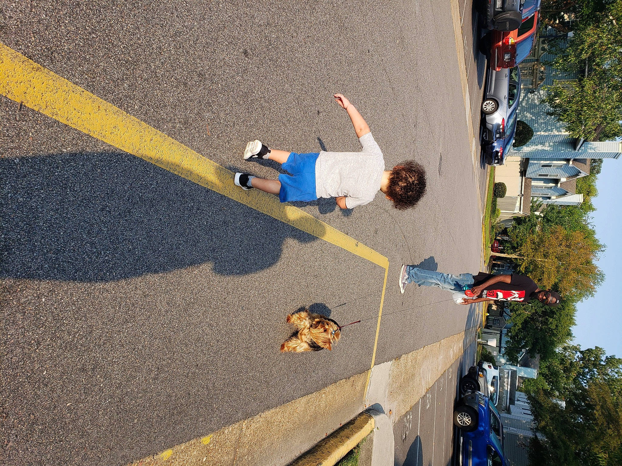 Julien is registered to the contest to win money with this photo: adventure, asphalt, car, concrete, fun, landscape, leisure, line, pedestrian, person, plant, recreation, road, road_surface, shadow, sidewalk, sky, street, tar, tree