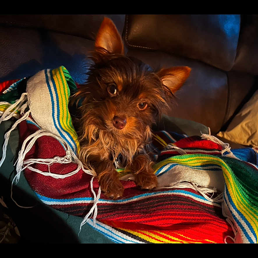 Charlie