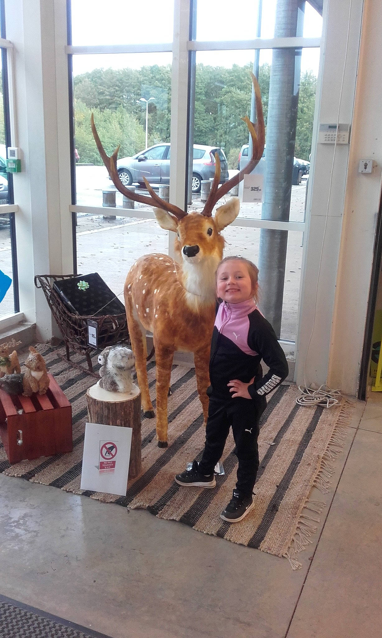 Djéna participe au concours pour gagner de l'argent avec cette photo : antler, art, box, deer, elk, fawn, flooring, fur, horn, joy, leisure, mammal, metal, person, reindeer, shipping_box, snout, tail, terrestrial_animal, tree