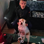 Nala a rejoint le concours — aidez-le/la à gagner de superbes lots ! blanket, brown_spots, candle, couch, decor, dog, floor, furniture, glass_table, indoor, living_room, man, mug, person, pet, pillow, relaxing, remote_control, sitting, white_dog