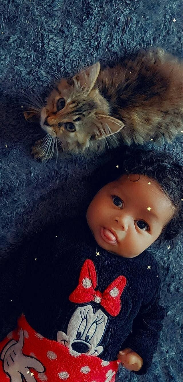 Yumi a rejoint le concours — aidez-le/la à gagner de superbes lots ! beauty, cap, carnivore, cat, child, cool, doll, eye, felidae, hairstyle, happy, head, headgear, lip, nose, organ, skin, textile, toy, white