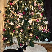 Mowgli joined the competition — help win amazing prizes! christmas_tree, black_cat, ornaments, lights, holiday_decor, tree_skirt, indoor, floor_tiles, ribbon, snowflake_ornaments, pink_bows, decorative_balls, festive, pet, relaxed, holiday, celebration, greenery, cozy, home
