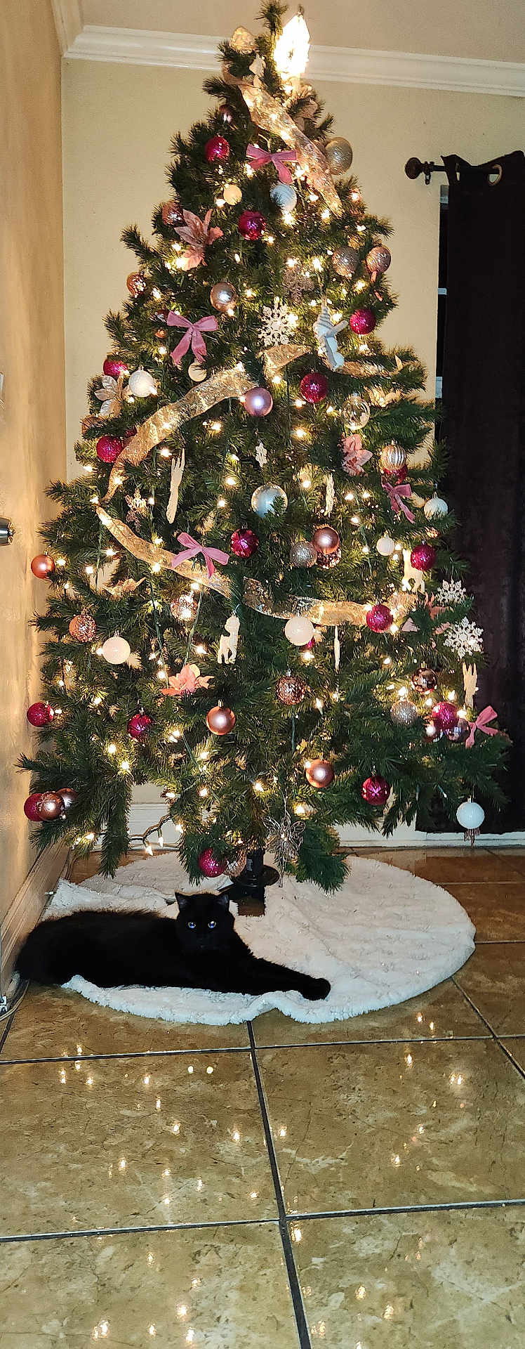 Mowgli joined the competition — help win amazing prizes! christmas_tree, black_cat, ornaments, lights, holiday_decor, tree_skirt, indoor, floor_tiles, ribbon, snowflake_ornaments, pink_bows, decorative_balls, festive, pet, relaxed, holiday, celebration, greenery, cozy, home