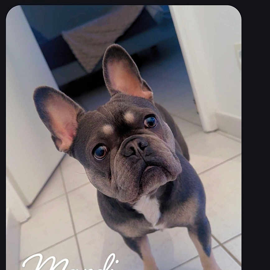 Nala