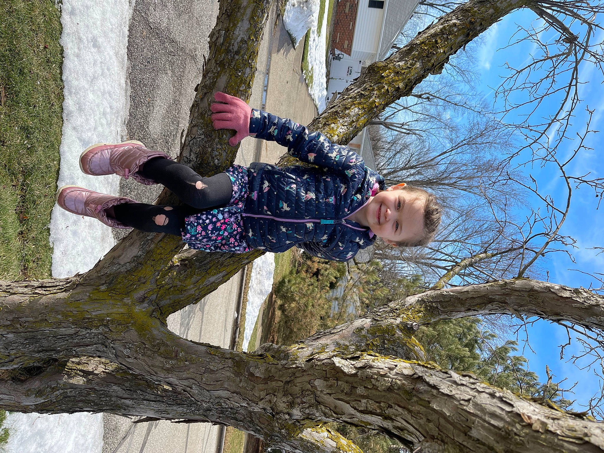 Madalye joined the competition — help win amazing prizes! branch, forest, fun, happy, joy, leisure, people_in_nature, person, plant, sky, spring, thigh, toddler, tree, trunk, twig, winter, wood, woody_plant