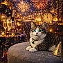 Keke joined the competition — help win amazing prizes! cat, tabby, green_eyes, party_hat, confetti, champagne_glasses, fireworks, balloons, clock, celebration, new_year, festive, lights, party, indoor, furniture, ottoman, golden, decorations, relaxed