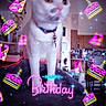 Blizzy joined the competition — help win amazing prizes! animal, birthday, cake, cat, celebration, collar, cozy, curious, cute, decorations, feline, home, indoor, keychain, neon, overlay, party, party_hat, pet, white_cat
