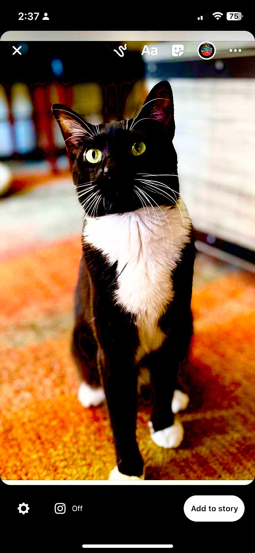Rosie