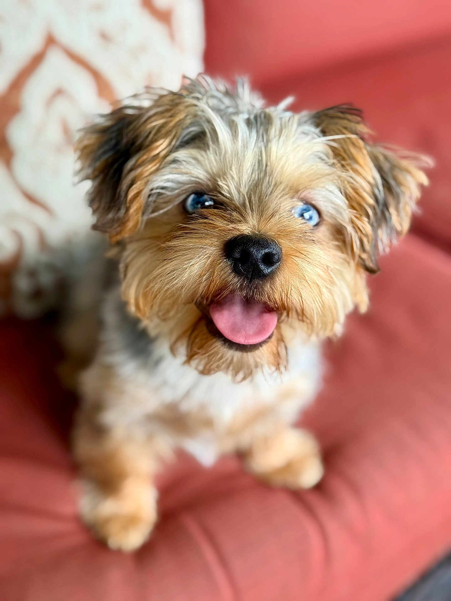 Bentley