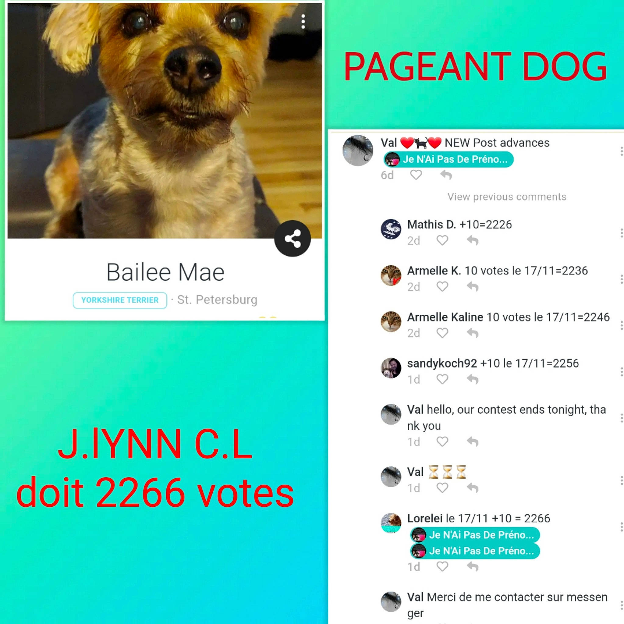 Je N'Ai Pas De Prénom àce Jour participe au concours pour gagner de l'argent avec cette photo : advertising, brand, canidae, carnivore, companion_dog, dog, dog_breed, dog_supply, font, happy, logo, paw, photo_caption, screenshot, snout, sporting_group, terrestrial_animal, toy_dog, web_page, working_animal