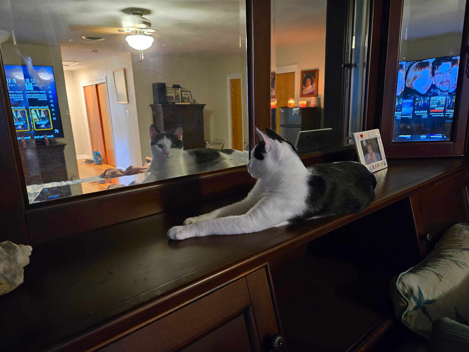 Figaro