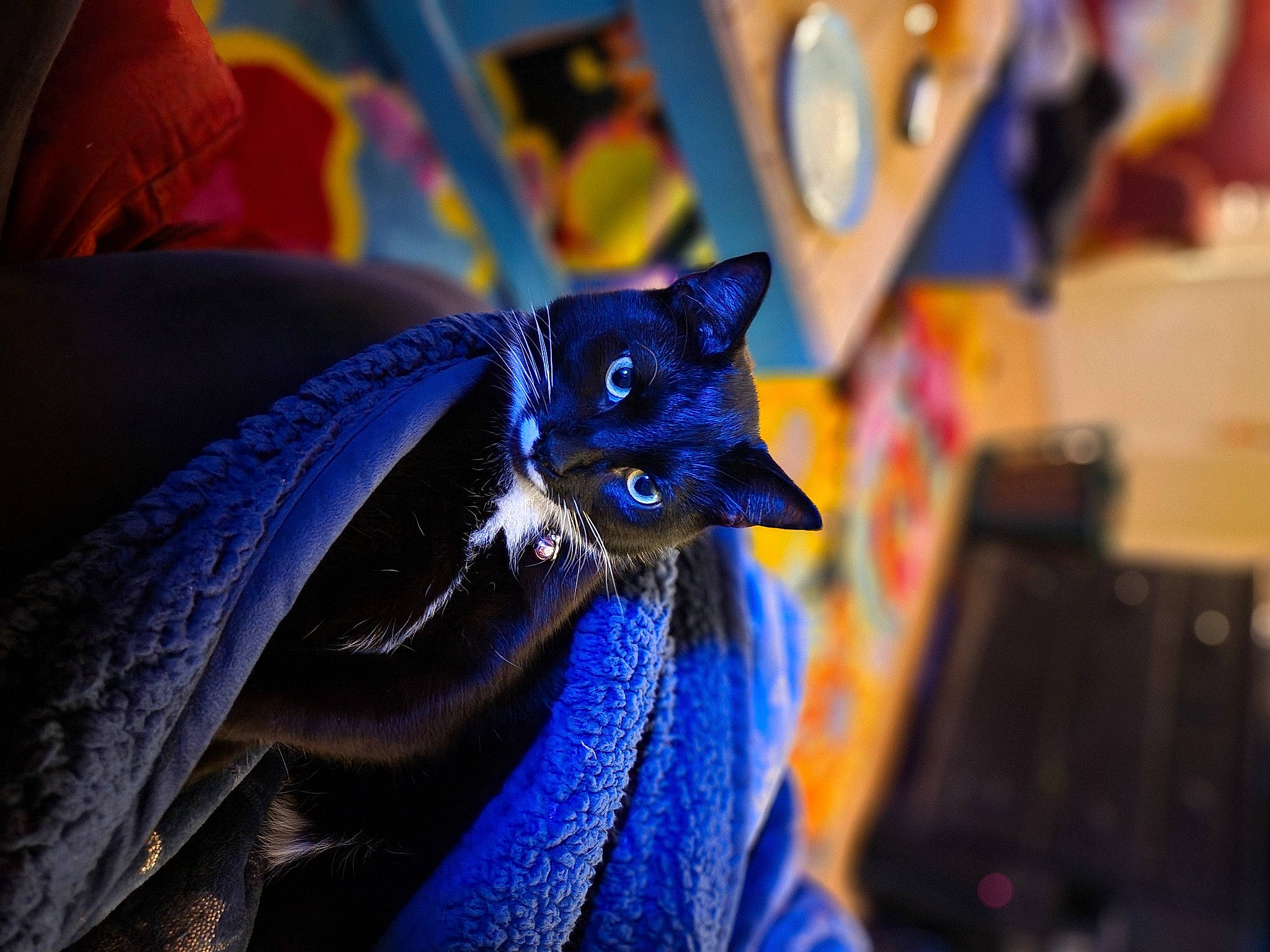 Pringles is registered to the contest to win money with this photo: art, auto_part, automotive_design, automotive_tire, costume, dress, electric_blue, event, fashion_accessory, fashion_design, fictional_character, formal_wear, fur, glove, helmet, personal_protective_equipment, purple, rim, tradition, wing