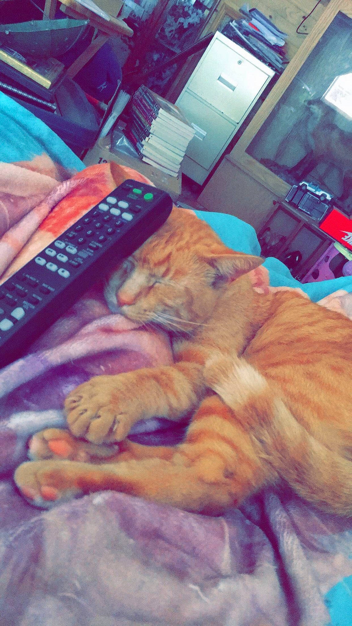 Thumbs is registered to the contest to win money with this photo: cat, comfort, communication_device, companion_dog, felidae, finger, flesh, fur, gesture, human_leg, input_device, lap, mammal, nail, office_equipment, room, small_to_medium_sized_cats, space_bar, thumb, whiskers