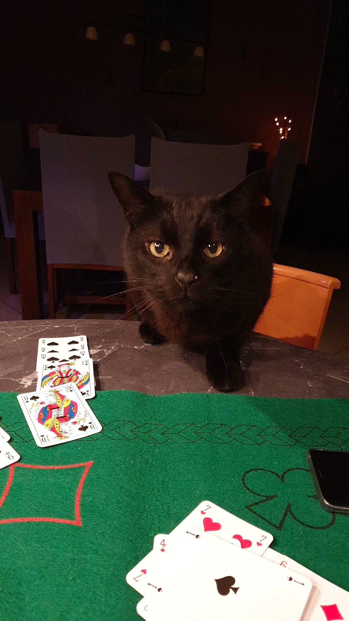 Clyde participe au concours pour gagner de l'argent avec cette photo : art, baize, box, card_game, carmine, carnivore, cat, domestic_short_haired_cat, felidae, flooring, gambling, holiday, indoor_games_and_sports, paper_product, poker, puzzle, recreation, small_to_medium_sized_cats, tail, whiskers