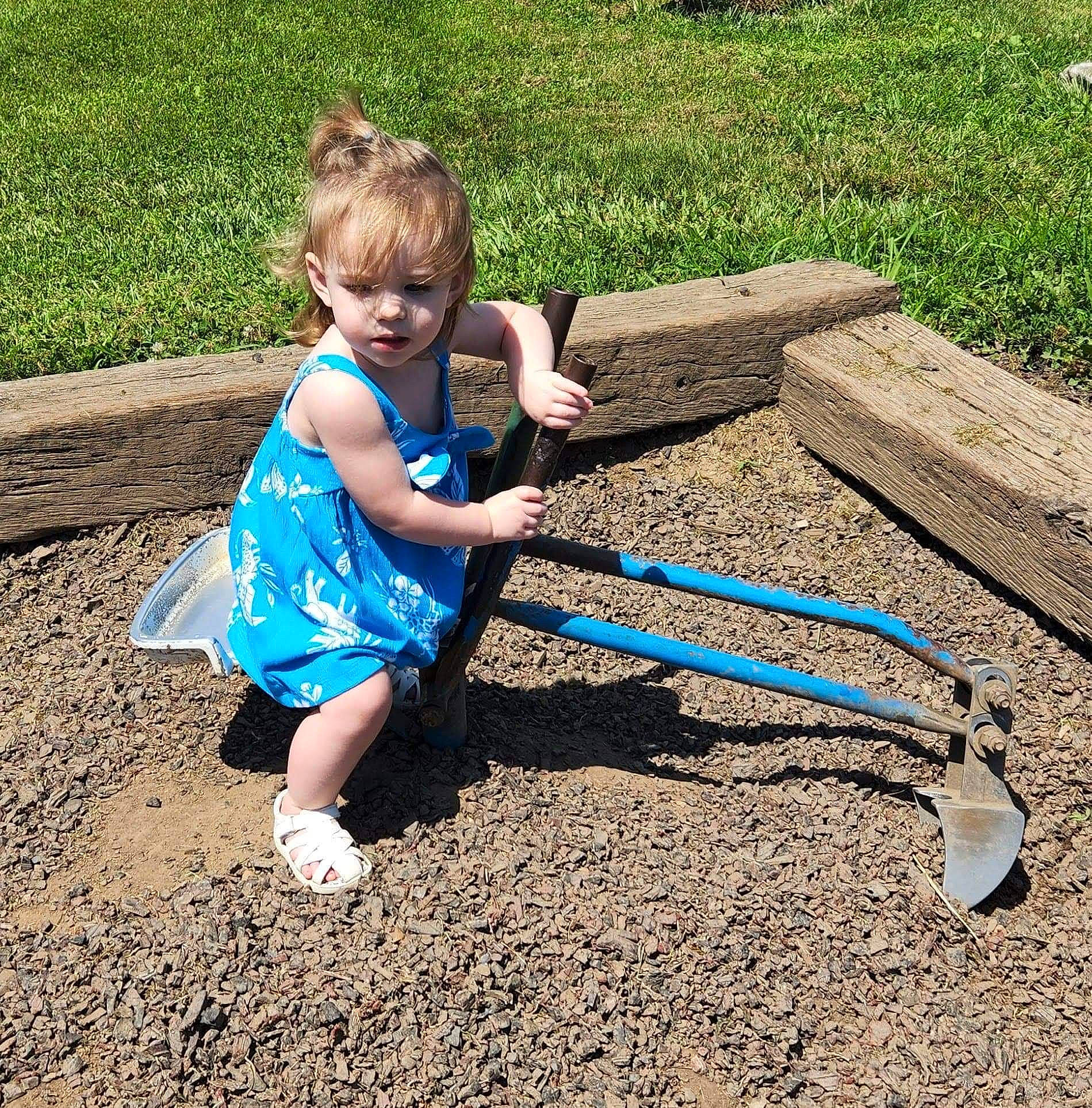 Ashton joined the competition — help win amazing prizes! baby, baby_toddler_clothing, child, city, electric_blue, fun, garden, gardening, grass, human_leg, leisure, people_in_nature, person, play, recreation, sitting, soil, t_shirt, toddler, toy